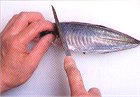さかなのおろし方(1)