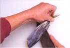 さかなのおろし方(2)