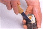 さざえの身の出し方(1)